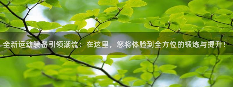 fb体育新能源：全新运动装备引领潮流：在这里，您将体