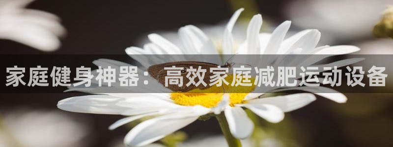fb体育招商电话：家庭健身神器：高效家庭减肥运动设备