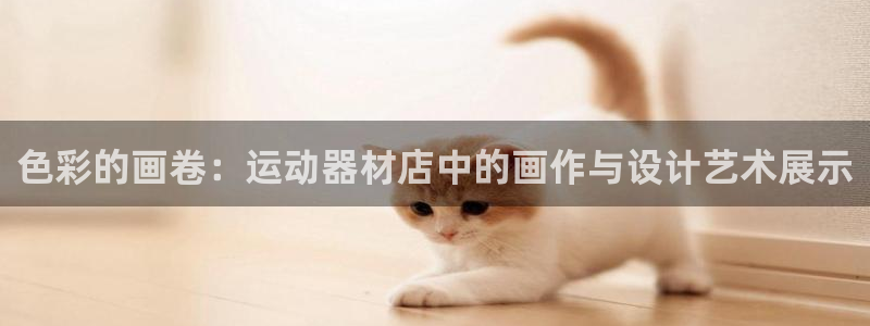 fb体育招商电话地址是多少：色彩的画卷：运动器材店中