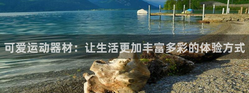 fb体育集团官网网址：可爱运动器材：让生活更加丰富多