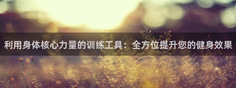 fb体育娱乐40996：利用身体核心力量的训练工具：