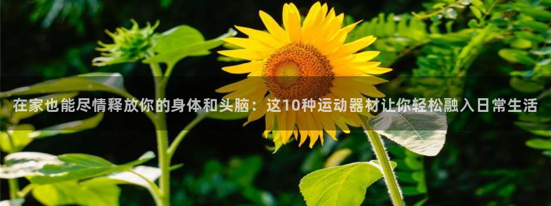 fb体育招商电话号码是多少号：在家也能尽情释放你的身
