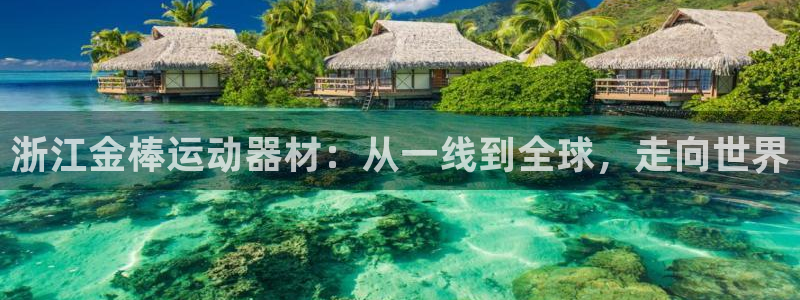 fb体育平台是正规平台吗：浙江金棒运动器材：从一线到