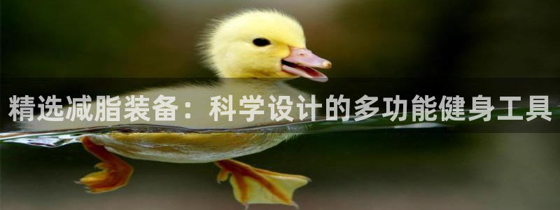 fb体育招商电话号码是多少号：精选减脂装备：科学设计的多功能