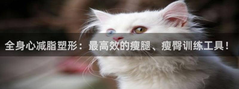 fb体育官方：全身心减脂塑形：最高效的瘦腿、瘦臀训练