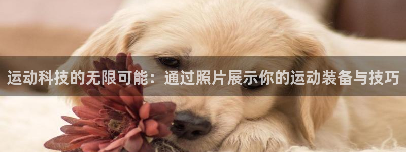 注册fb体育：运动科技的无限可能：通过照片展示你的运动装备与