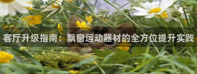 fb体育招商电话地址