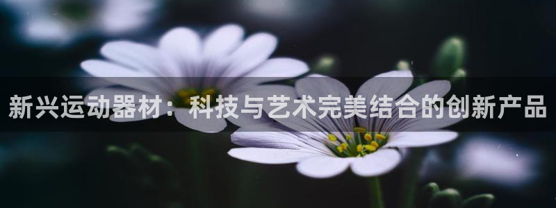 fb体育娱乐首页网站大全：新兴运动器材：科技与艺术完美结合的