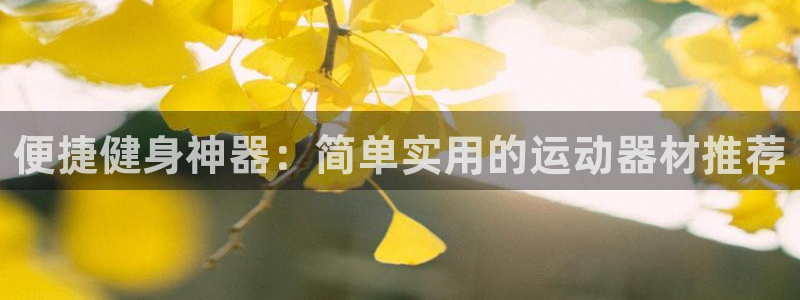 fb体育娱乐下载：便捷健身神器：简单实用的运动器材推