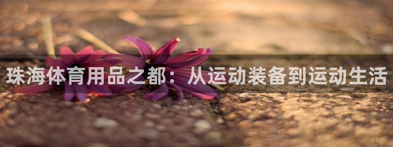 fb体育招商电话：珠海体育用品之都：从运动装备到运动生活